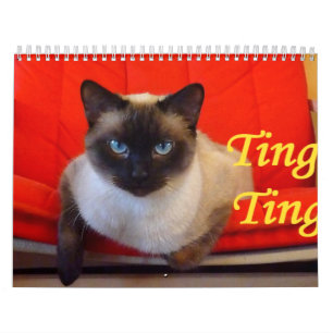 Calendário Ting Ting o gato Siamese