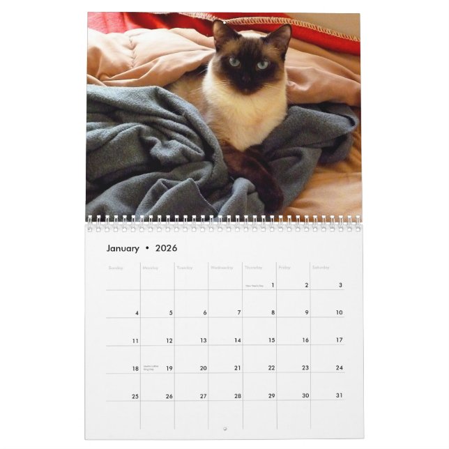 Calendário Ting Ting o gato Siamese (Jan 2026)