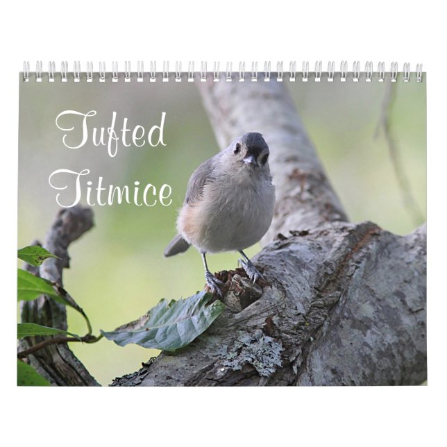 Calendário Titmice adornados (Capa)