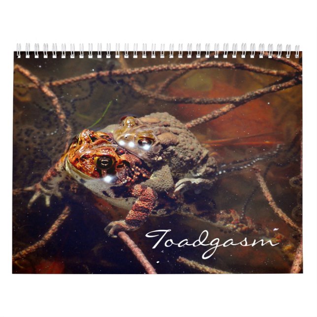 Calendário Toadgasm (Capa)