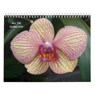 Calendário Toda SUA glória… 2010