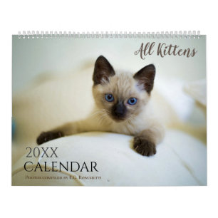 Calendário Todos Os Gatinhos Cute 2025 Calendar Gift Cats