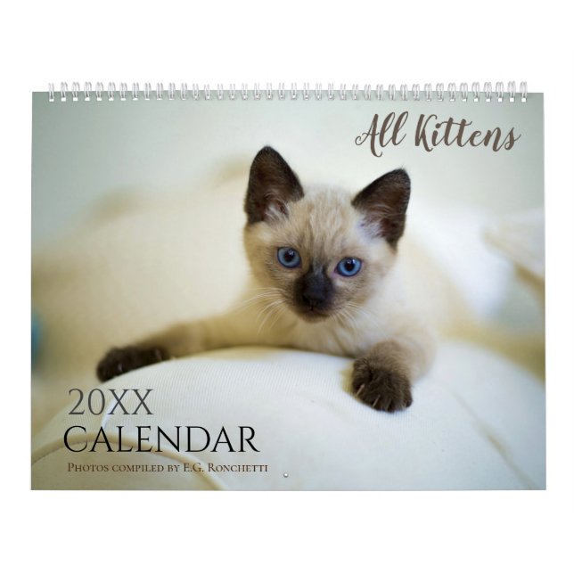 Calendário Todos Os Gatinhos Cute 2025 Calendar Gift Cats (Capa)