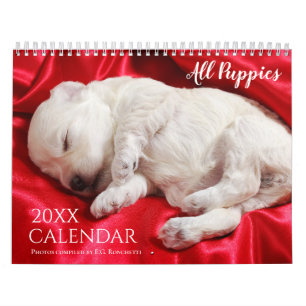 Calendário Todos Os Puppies 2025 Puppy Dog Wall Calendar
