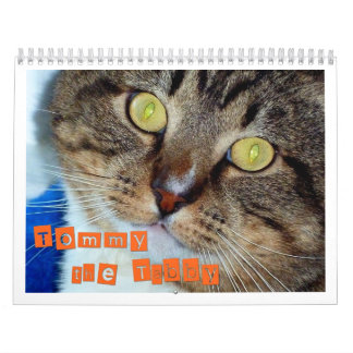Calendário Tommy o gato malhado