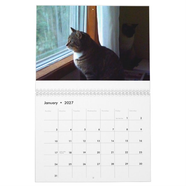 Calendário Tommy o gato malhado (Jan 2027)
