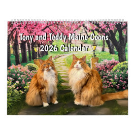 Calendário Tony e Teddy Maine Coons 2026