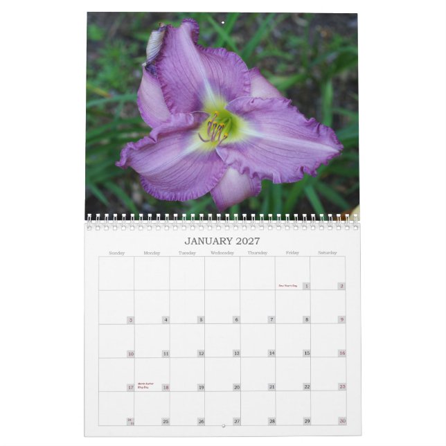 Calendário Toque dos hemerocallis de Sun II (Jan 2027)