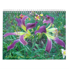 Calendário Toque dos hemerocallis de Sun II