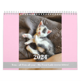 Calendário Toto Kitten (salvamento de Minha Senhora Federal)