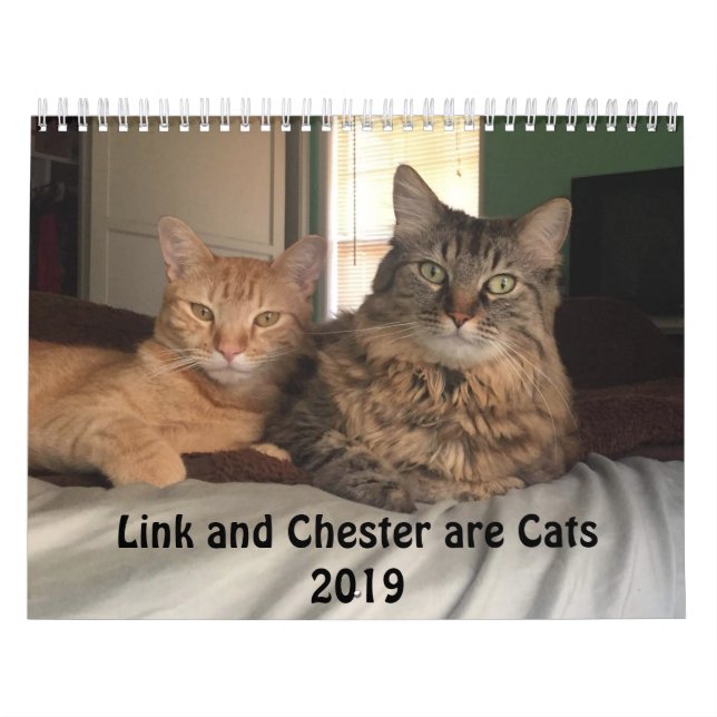 Calendário trajado dos gatos 2019 (Capa)