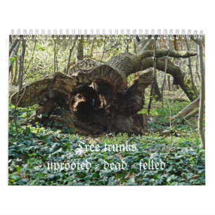 Calendário Tree trunks uprooted felled - dead -