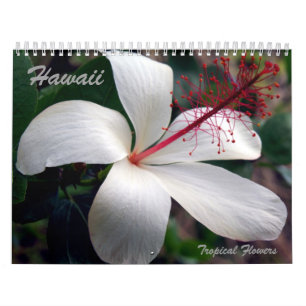 Calendário tropical das flores de Havaí