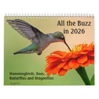 Calendário Tudo a Buzir 2026