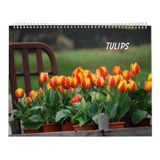 Calendário Tulipas