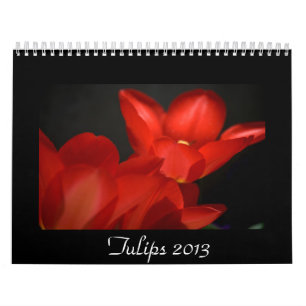 Calendário Tulipas 2013