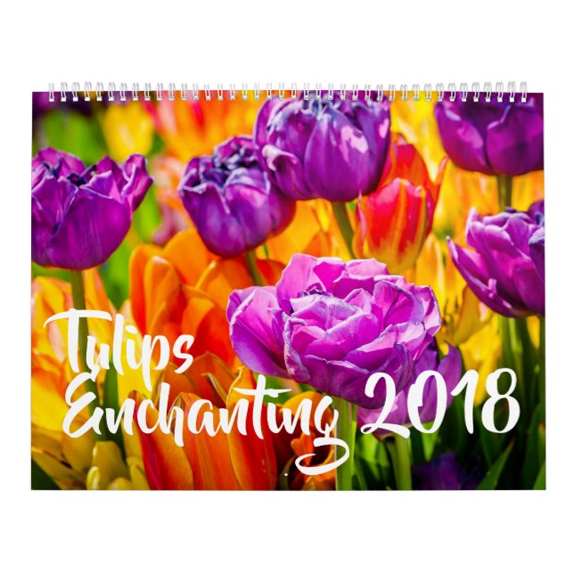 Calendário Tulipas Encantando lindas (Capa)