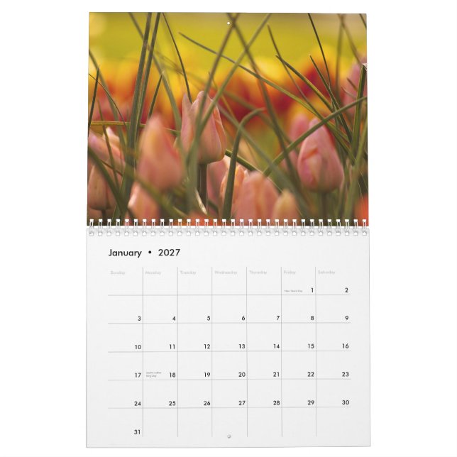 CALENDÁRIO TULIPS. DO VALE DE SKAGIT (Jan 2027)