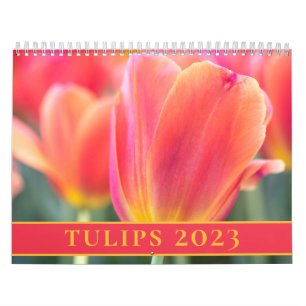 Calendário Tulips Fotografia 2023