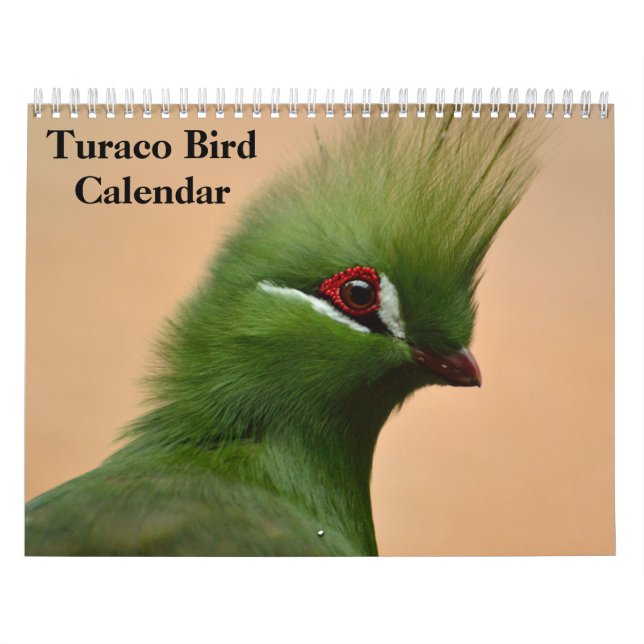 Calendário Turaco Bird 2025 (Capa)