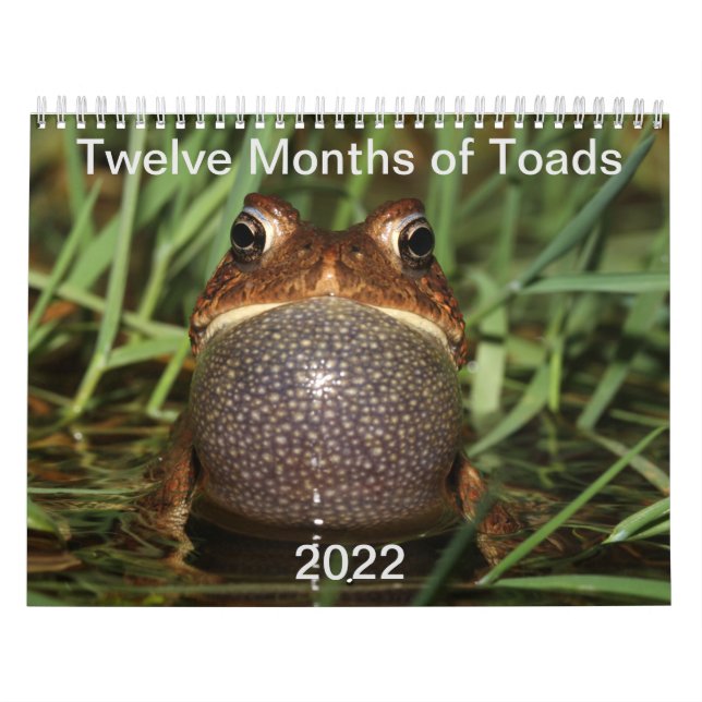 Calendário Twelve Months of Toads: 2022 Calendar (Capa)
