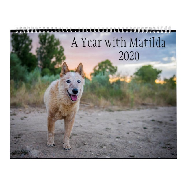 Calendário Um ano com Matilda:Calendário 2020 (Capa)