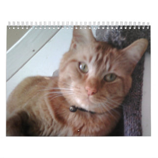 Calendário Um ano com Pokey