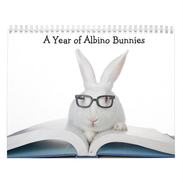 Calendário Um ano de Albino Bunnies (Capa)