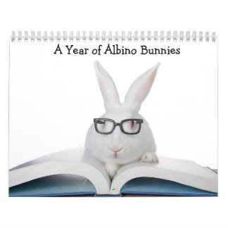 Calendário Um ano de Albino Bunnies