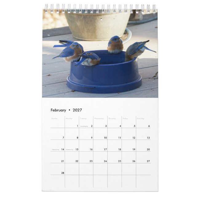 Calendário Um ano de Cheio de pássaros azuis (Fev 2027)