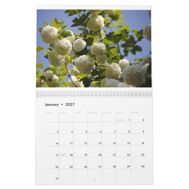 Calendário um ano de flores (Jan 2027)