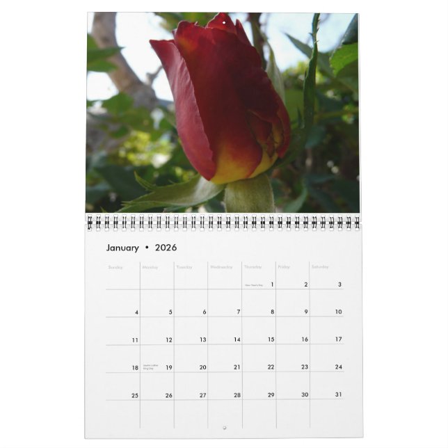 Calendário Um ano de flores (Jan 2026)