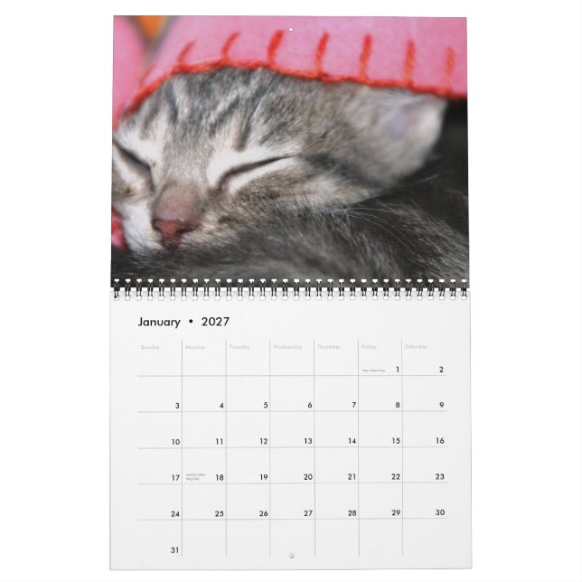 Calendário Um ano de fofocas (Jan 2027)