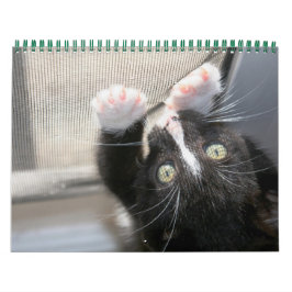 Calendário Um ano de fofocas