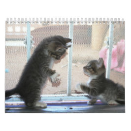 Calendário Um ano de fuzzybutts