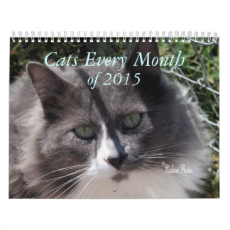 Calendário Um ano de gatos - personalize a qualquer ano onde