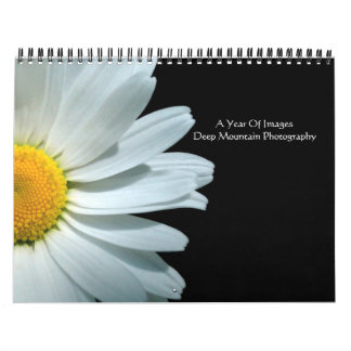 Calendário Um ano de imagens