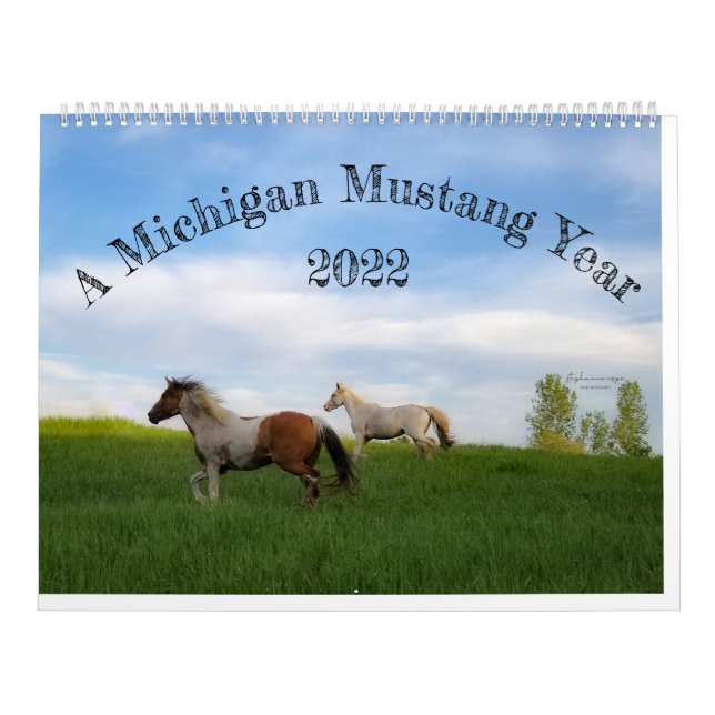 Calendário Um ano de Michigan Mustang (Capa)