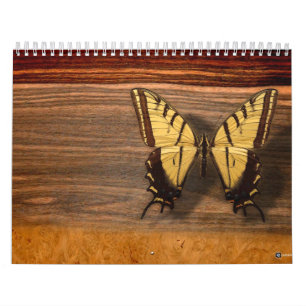 CALENDÁRIO UM ANO DE NATUREZA