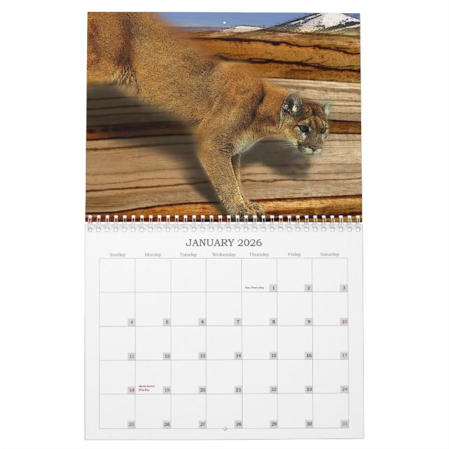 CALENDÁRIO UM ANO DE NATUREZA (Jan 2026)