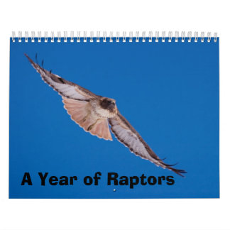 Calendário Um ano de raptores