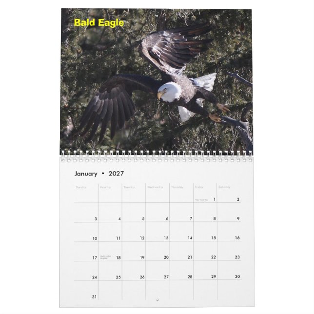 Calendário Um ano de raptores (Jan 2027)