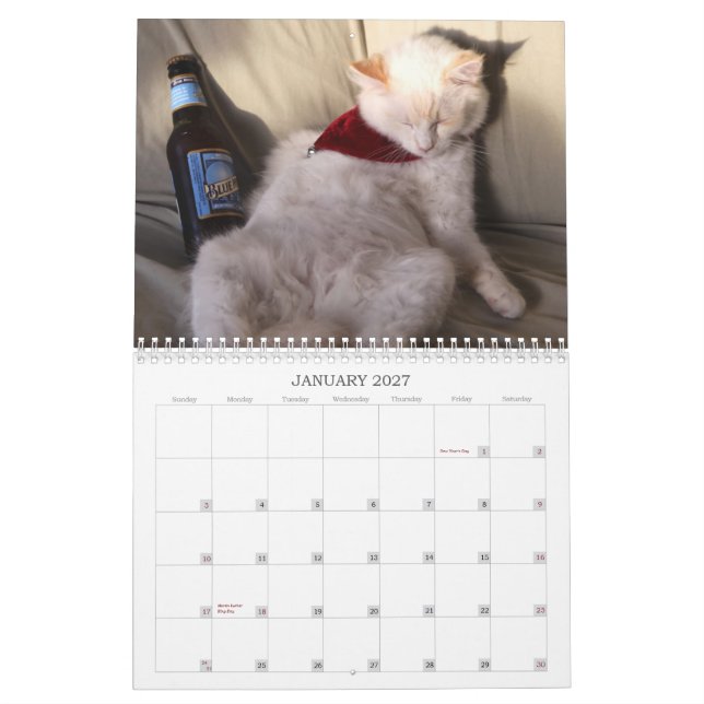 Calendário Um ano de ridiculousness (Jan 2027)