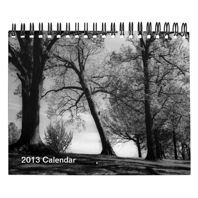 Calendário Um ano na fotografia preto e branco (Capa)