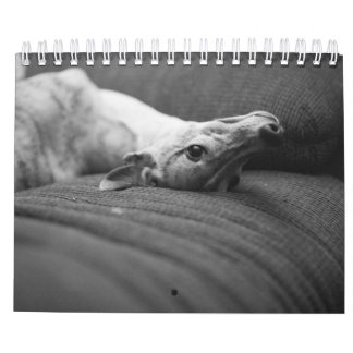 Calendário Um ano na vida de Enzo