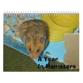 Calendário Um ano nos hamster 2010