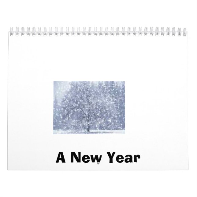 Calendário Um ano novo (Capa)