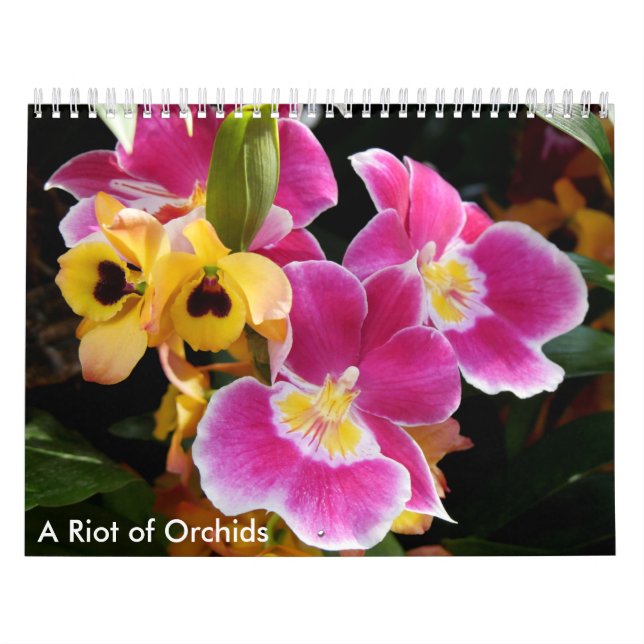 Calendário Um motim das orquídeas (Capa)