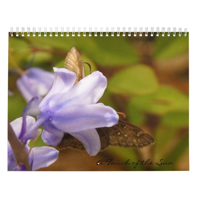 Calendário Um toque das Carolinas (Capa)