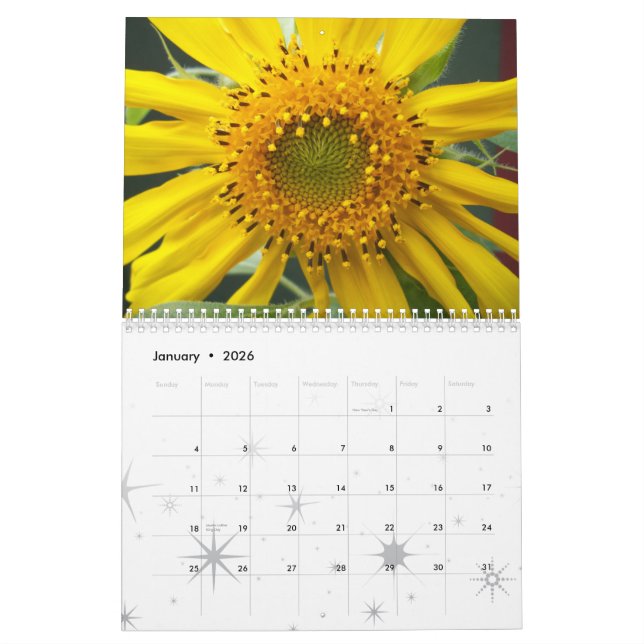 Calendário Uma flor pictórico (Jan 2026)
